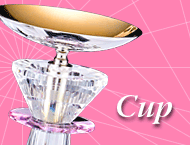 �D���J�b�v�̃y�[�W��